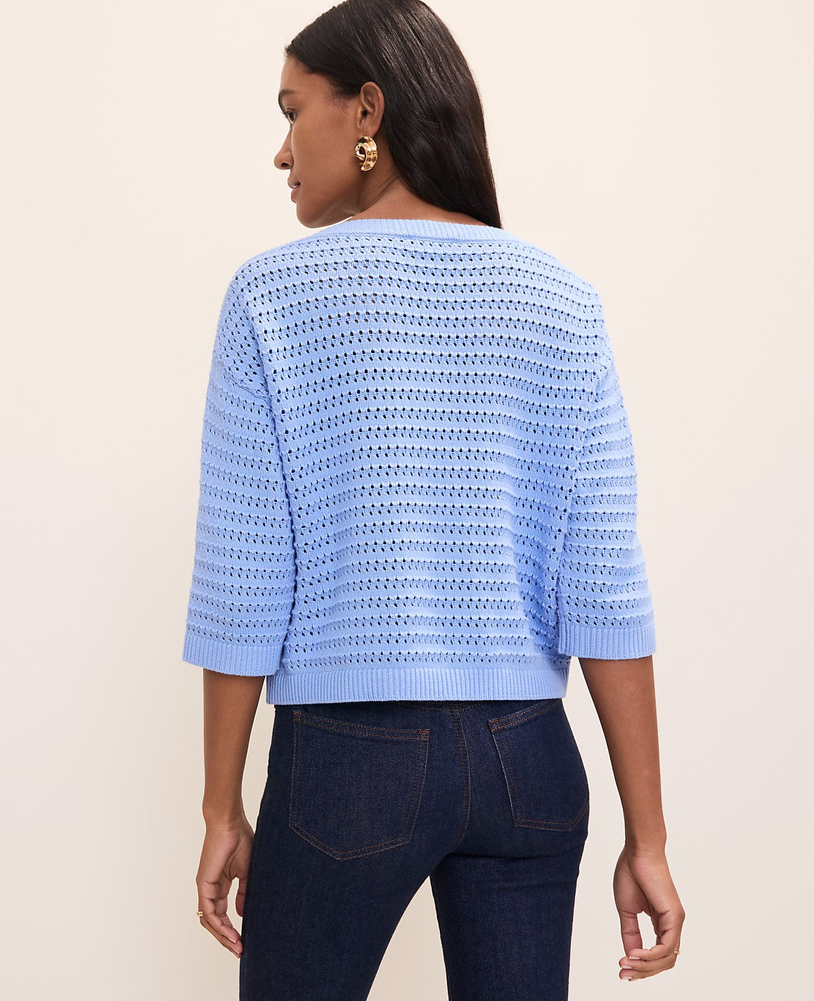 Pointelle Boatneck Sweater | Ann Taylor