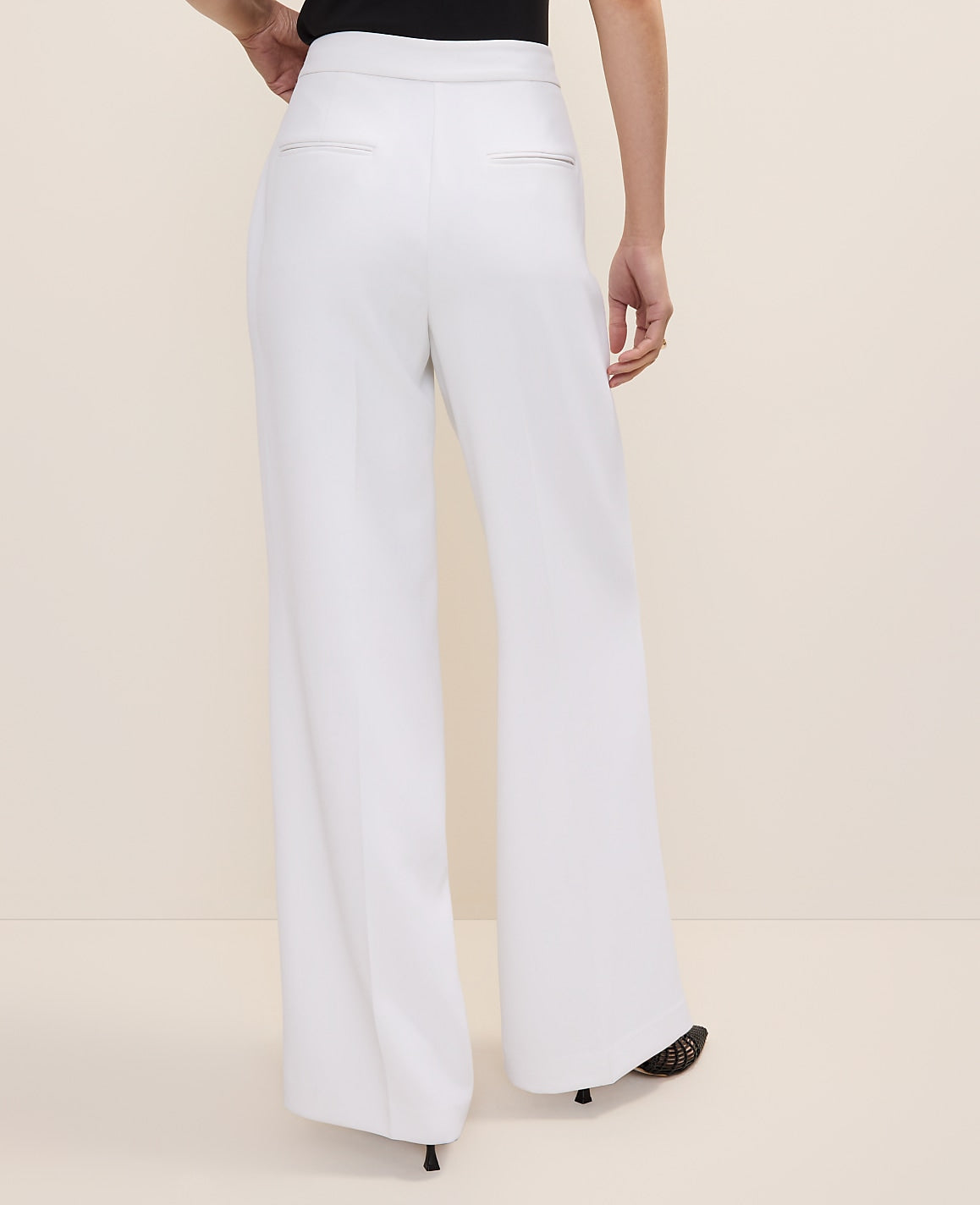 The Side Zip Wide-Leg Pant in Fluid Crepe | Ann Taylor