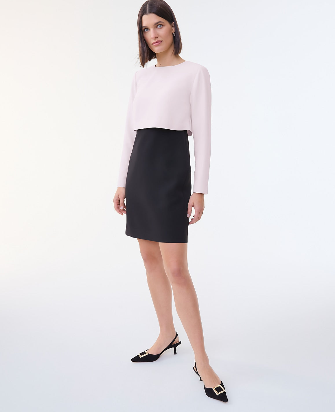 Colorblock Crew Neck Shift Dress | Ann Taylor