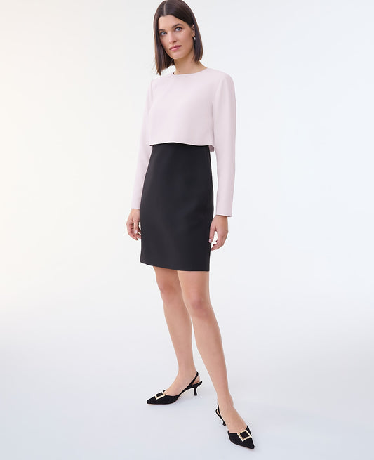 Colorblock Crew Neck Shift Dress | Ann Taylor