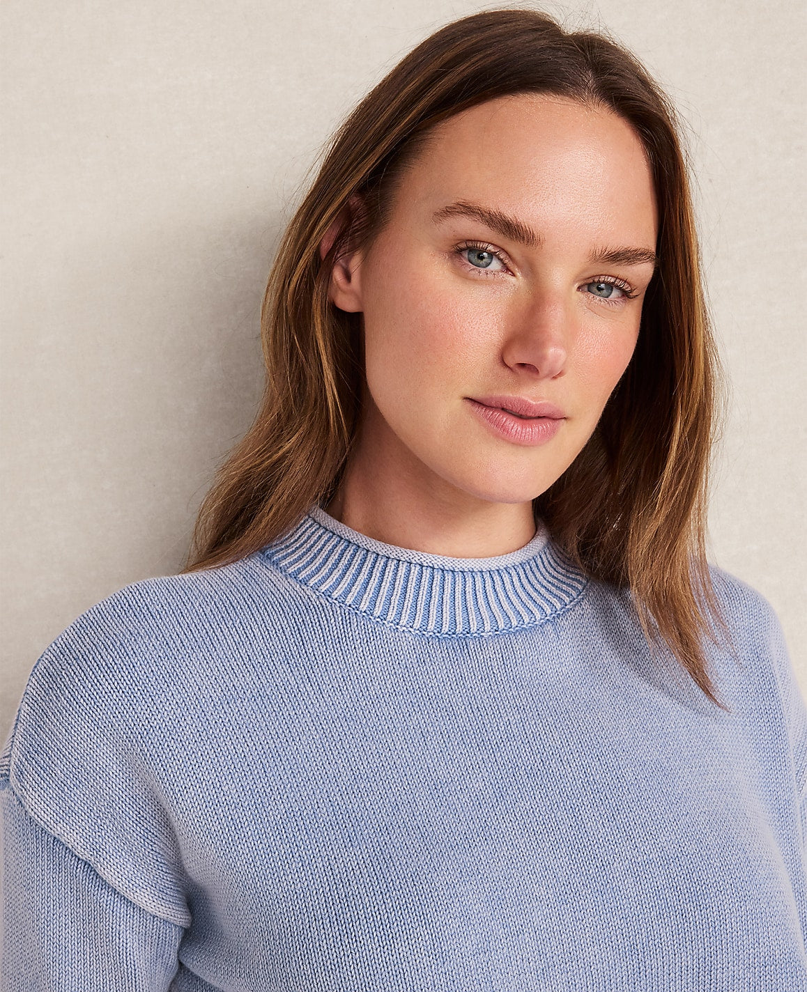 Haven Well Within Garment-Dyed Organic Cotton Roll Neck Sweater | Ann Taylor