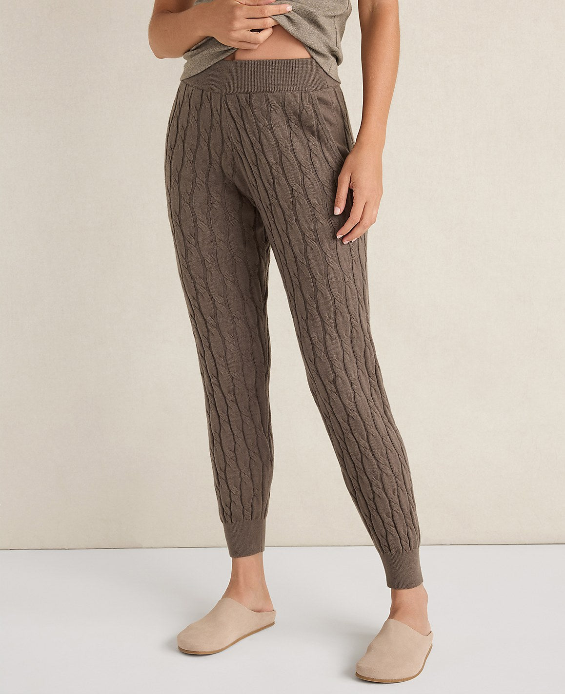 Haven Well Within Organic Cotton Cashmere Cable Joggers | Ann Taylor