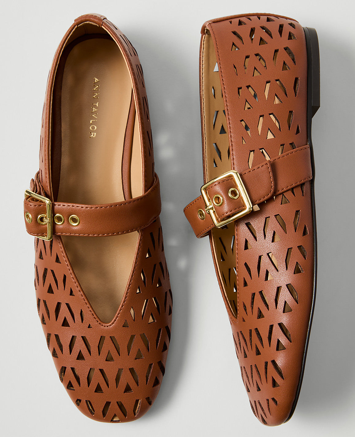 Weekend Leather Mary Jane Ballet Flat | Ann Taylor