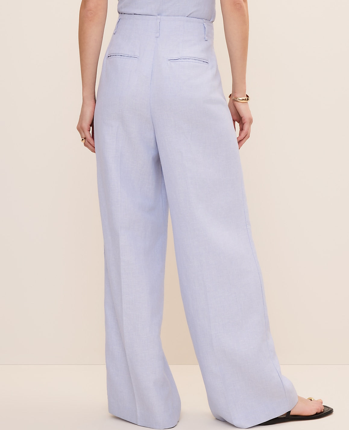 Petite Pleated Wide-Leg Pant | Ann Taylor