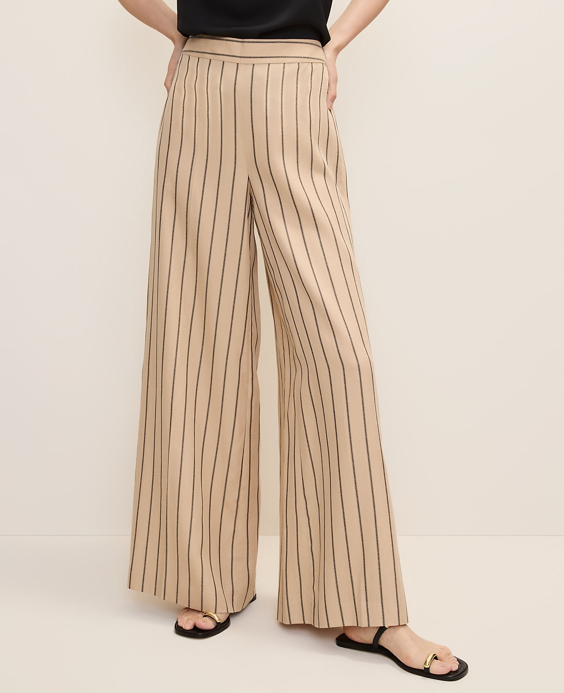 The Petite Striped Statement Palazzo Pant | Ann Taylor