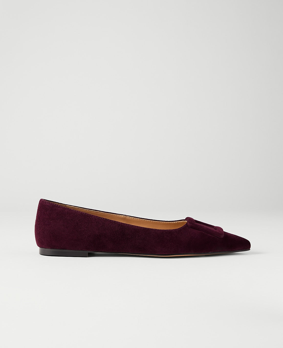 Suede Buckle Flat | Ann Taylor