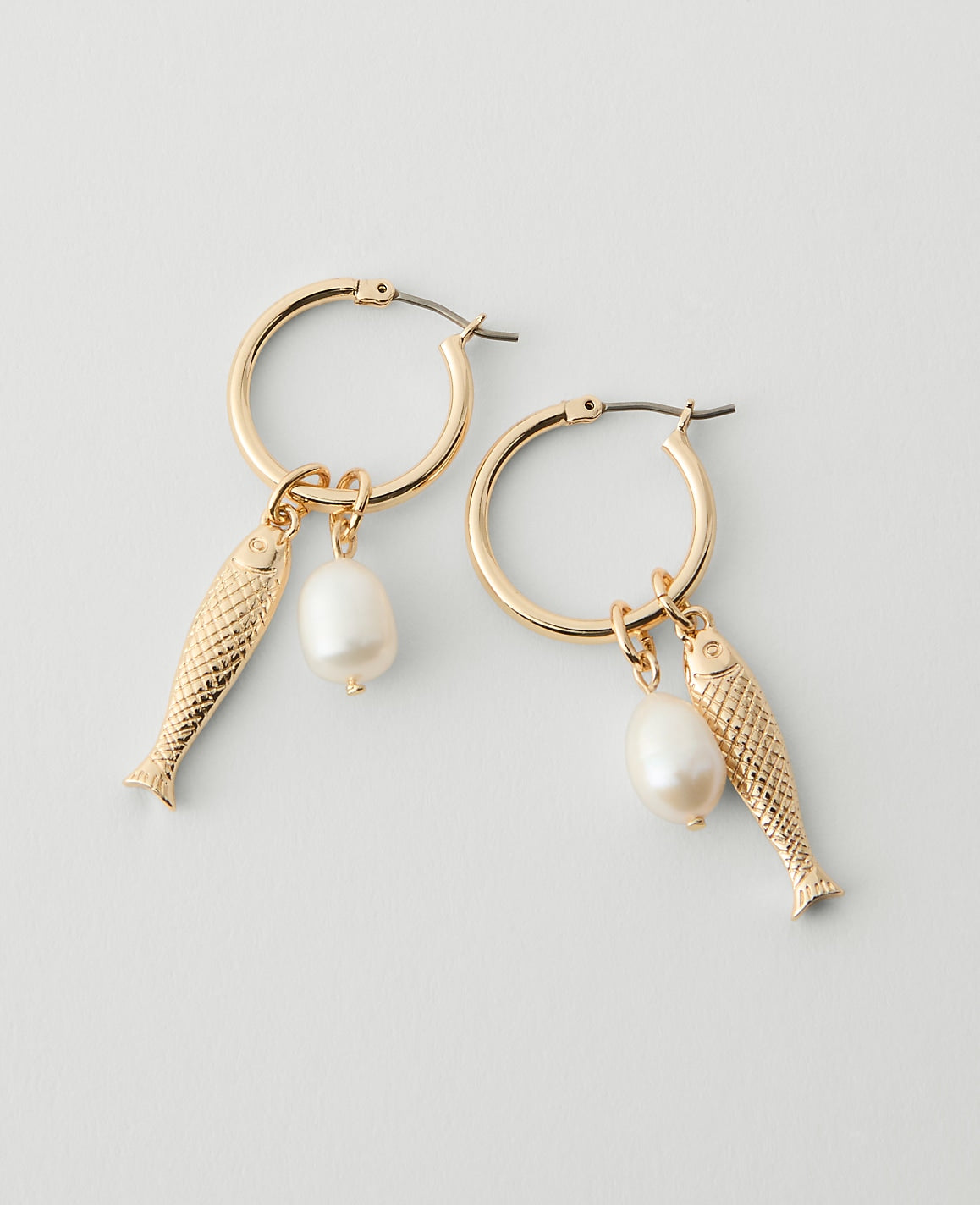 Sardine Hoop Earrings | Ann Taylor