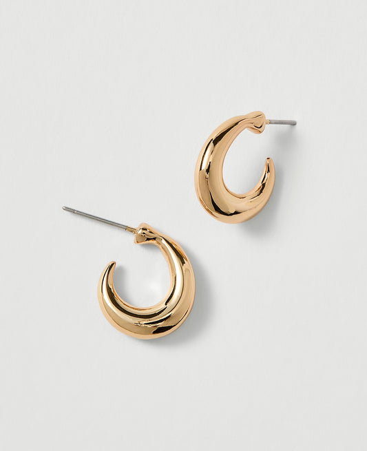 Mini Hoop Earrings | Ann Taylor
