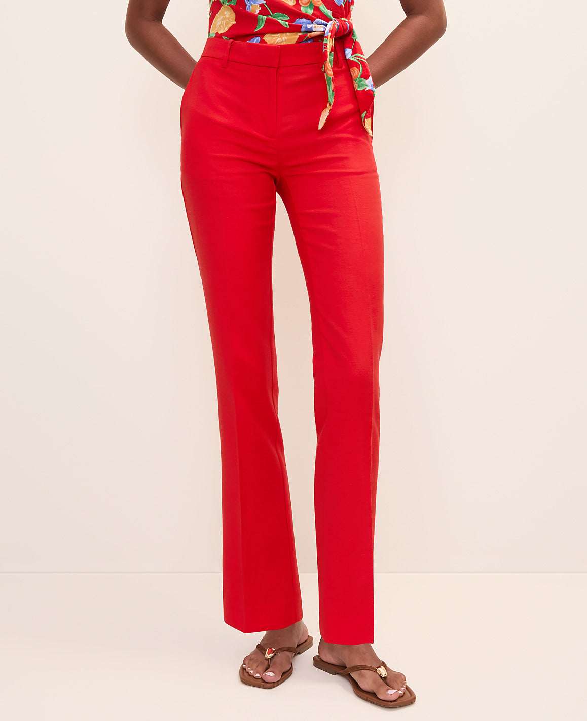 The Sophia Pant — Curvy Fit | Vinci Leather